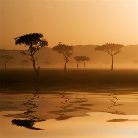 safari destination - A beautiful sunset at Massai Mara, Kenya. Reflection on water surface. Photographie de stock - Aubaine LD & Abonnement, Code: 400-03964119