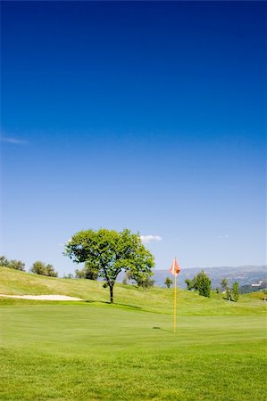 simsearch:700-02232029,k - Tree and flag in golf field with deep blue sky Fotografie stock - Microstock e Abbonamento, Codice: 400-03964112