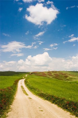 simsearch:622-06370218,k - A country road on a flowered meadow in Italian Tuscany. Stockbilder - Microstock & Abonnement, Bildnummer: 400-03964169