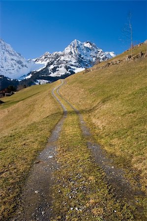 simsearch:632-03651911,k - Landscape : Dirt path on a mountain in Switzerland Fotografie stock - Microstock e Abbonamento, Codice: 400-03964652