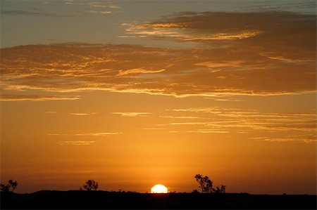 simsearch:400-04975317,k - An image of the Australian Outback landscape during a sunset. Fotografie stock - Microstock e Abbonamento, Codice: 400-03964707