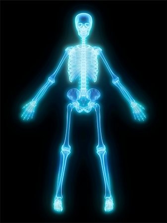 simsearch:700-06038080,k - 3d rendered anatomy illustration of a glowing human skeleton Foto de stock - Super Valor sin royalties y Suscripción, Código: 400-03966199