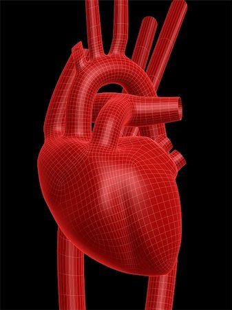 simsearch:700-00037198,k - 3d rendered anatomy illustration of a human heart Stock Photo - Budget Royalty-Free & Subscription, Code: 400-03966191