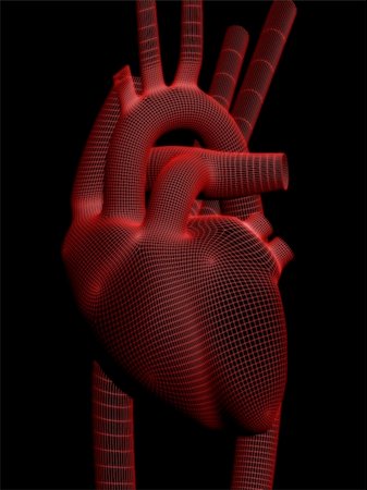 simsearch:700-00037198,k - 3d rendered anatomy illustration of a human heart Stock Photo - Budget Royalty-Free & Subscription, Code: 400-03966192
