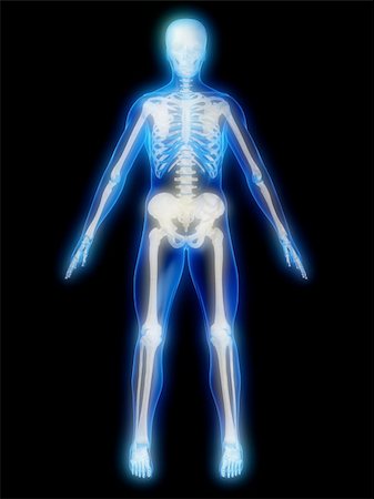 simsearch:700-06038080,k - 3d rendered anatomy illustration of a human glowing skeleton Foto de stock - Super Valor sin royalties y Suscripción, Código: 400-03966264