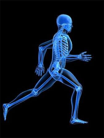 simsearch:400-04191168,k - 3d rendered anatomy illustration of a running skeleton Stock Photo - Budget Royalty-Free & Subscription, Code: 400-03966295