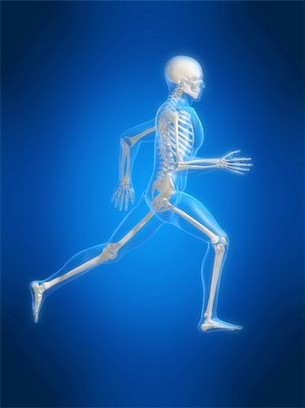 simsearch:400-04191168,k - 3d rendered anatomy illustration of a running skeleton Stock Photo - Budget Royalty-Free & Subscription, Code: 400-03966290