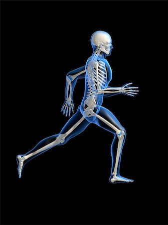 simsearch:400-04191168,k - 3d rendered anatomy illustration of a running skeleton Stock Photo - Budget Royalty-Free & Subscription, Code: 400-03966291