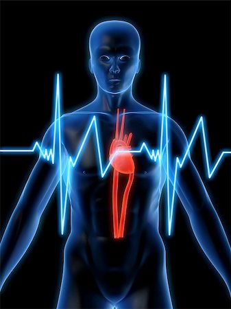 simsearch:400-04008687,k - 3d rendered anatomy illustration of a human shape with a heartbeat Photographie de stock - Aubaine LD & Abonnement, Code: 400-03966304