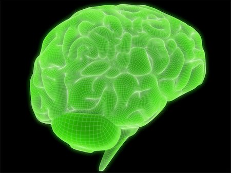 simsearch:400-05120940,k - 3d rendered anatomy illustration of a human green brain Stock Photo - Budget Royalty-Free & Subscription, Code: 400-03966645