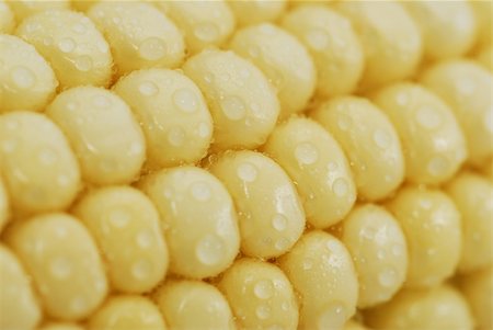 simsearch:400-08378503,k - Corn with waterdrops background Stock Photo - Budget Royalty-Free & Subscription, Code: 400-03966747