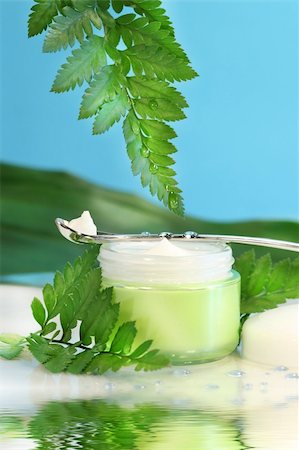 simsearch:614-06442320,k - Rejuvenating face cream with green ferns with water reflection Stock Photo - Budget Royalty-Free & Subscription, Code: 400-03967117