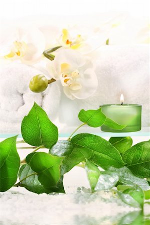 simsearch:400-03950235,k - White orchid on shelf with green candles Photographie de stock - Aubaine LD & Abonnement, Code: 400-03967122