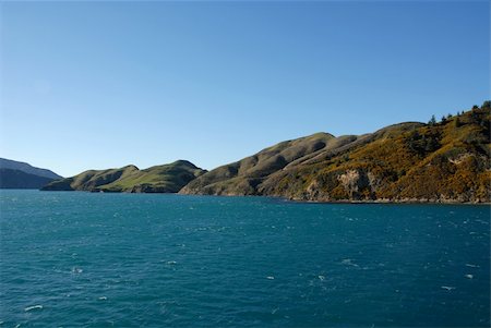 simsearch:400-04483118,k - Rolling hills along the interisland ferry route, South Island, New Zealand Photographie de stock - Aubaine LD & Abonnement, Code: 400-03967655
