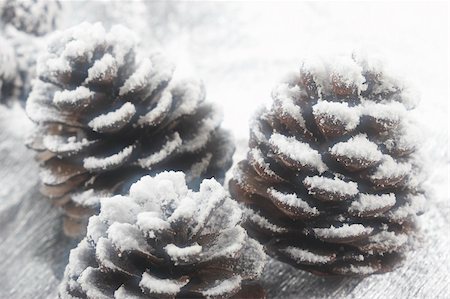 snag tree - Christmas fir cone onthe silver background and snow. Captured with soft filter Stock Photo - Budget Royalty-Free & Subscription, Code: 400-03967945