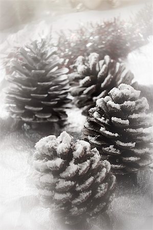 snag tree - Christmas fir cone onthe silver background and snow. Captured with soft filter Stock Photo - Budget Royalty-Free & Subscription, Code: 400-03967943