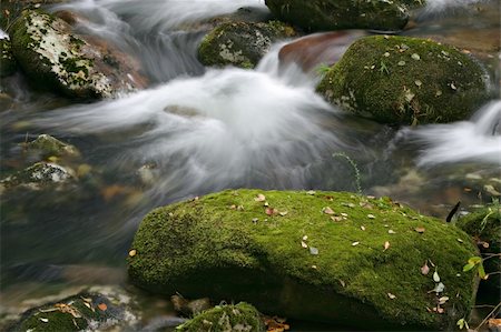 rush (plant) - Stream of water. Long exposure. Photographie de stock - Aubaine LD & Abonnement, Code: 400-03969712