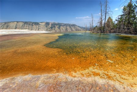 Yellowstone National Park. Mammoth Hot Springs Fotografie stock - Microstock e Abbonamento, Codice: 400-03960291