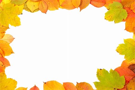 simsearch:400-05693764,k - Colorful autumn frame made from leaves on white background Stock Photo - Budget Royalty-Free & Subscription, Code: 400-03960471