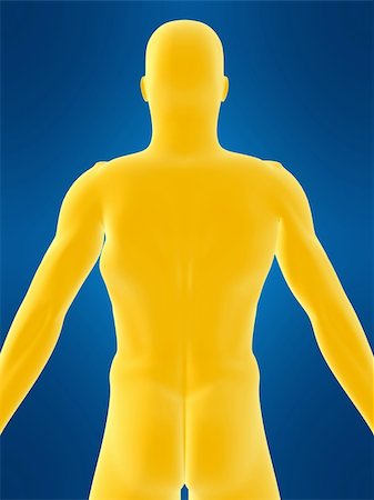 3d rendered illustration of a male back shape Stock Photo - Budget Royalty-Free & Subscription, Code: 400-03961746