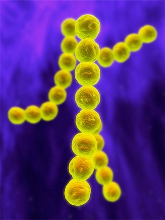streptococcus - 3d rendered close up ofsome streptococcus bacteria Stock Photo - Budget Royalty-Free & Subscription, Code: 400-03961796