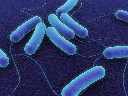 3d rendered close up of some coli bacteria Foto de stock - Super Valor sin royalties y Suscripción, Código: 400-03961817