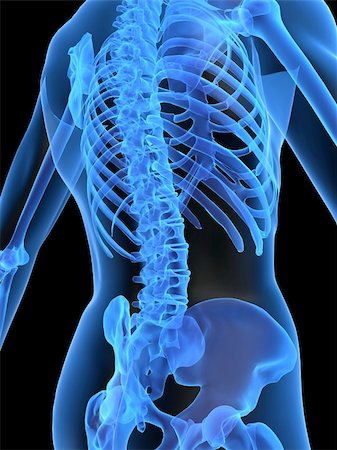 simsearch:700-06038080,k - 3d rendered x-ray illustration of a human skeletal back Foto de stock - Super Valor sin royalties y Suscripción, Código: 400-03961912