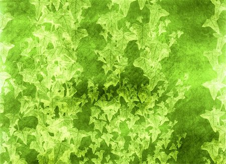 simsearch:696-03394972,k - Computer designed grunge textured green floral background Stockbilder - Microstock & Abonnement, Bildnummer: 400-03962638
