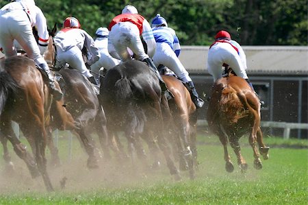 simsearch:832-03640076,k - horse and jockey at race-course up to the finish line Photographie de stock - Aubaine LD & Abonnement, Code: 400-03963630