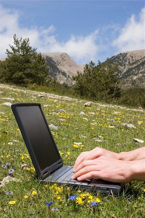 simsearch:400-06557512,k - Male hands typing on a laptop in a meadow in the mountains Photographie de stock - Aubaine LD & Abonnement, Code: 400-03963903