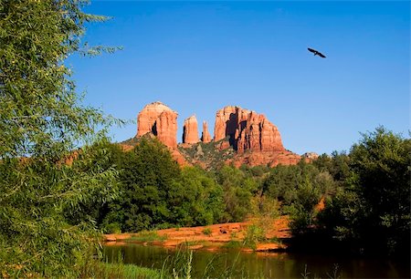 eagle river - View of Cathedral Rocks in Sedona with water in foreground and bird soaring Foto de stock - Royalty-Free Super Valor e Assinatura, Número: 400-03975534