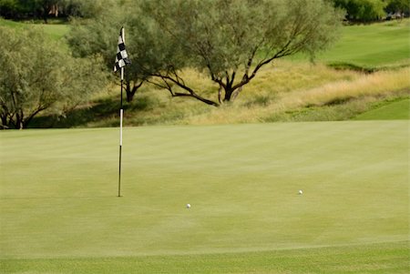 Golf balls on the green, Scottsdale, Arizona Stock Photo - Budget Royalty-Free & Subscription, Code: 400-03975621