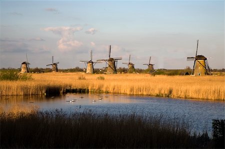 Historic Dutch windmills in Kinderdijk Stock Photo - Budget Royalty-Free & Subscription, Code: 400-03975668