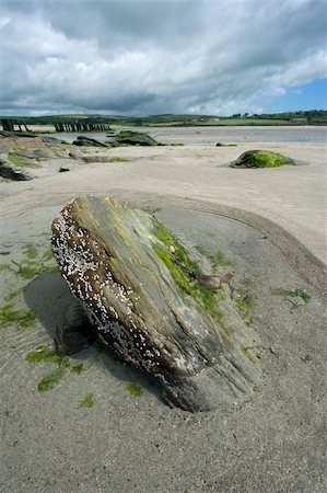 simsearch:400-03976508,k - Scenic view of a beach in Southern Ireland Stockbilder - Microstock & Abonnement, Bildnummer: 400-03976428