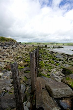 simsearch:400-03976503,k - Close up of wooden fence along a beach Stock Photo - Budget Royalty-Free & Subscription, Code: 400-03976420