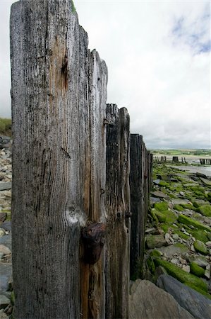 simsearch:400-03976508,k - Close up of wooden fence along a beach Stockbilder - Microstock & Abonnement, Bildnummer: 400-03976421