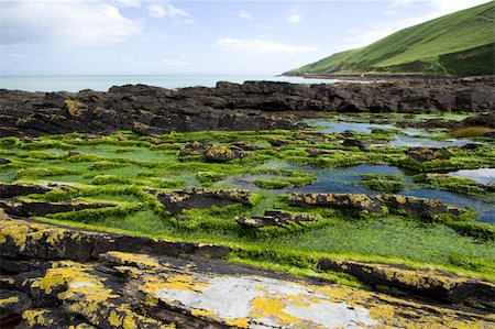 simsearch:400-03976503,k - Rugged coastline in Southern Ireland Stock Photo - Budget Royalty-Free & Subscription, Code: 400-03976431
