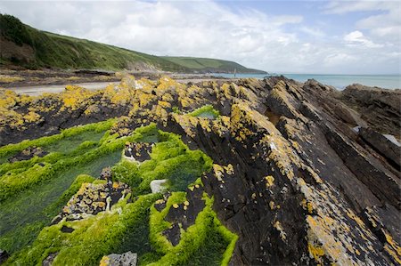 Rugged coastline in Southern Ireland Stock Photo - Budget Royalty-Free & Subscription, Code: 400-03976432