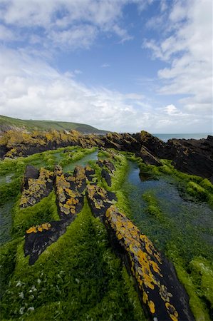 simsearch:400-03976503,k - Rugged coastline in Southern Ireland Stock Photo - Budget Royalty-Free & Subscription, Code: 400-03976433
