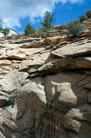 simsearch:400-03976569,k - Scenic views of Zion National Park, USA Fotografie stock - Microstock e Abbonamento, Codice: 400-03976459