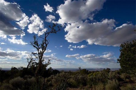 simsearch:400-03976569,k - Scenic views of Zion National Park, USA Fotografie stock - Microstock e Abbonamento, Codice: 400-03976450