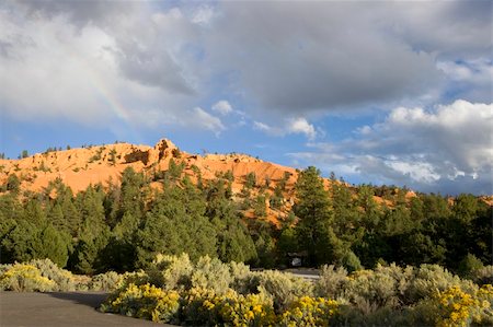 simsearch:862-03808755,k - Scenic view of Dixie National Forest at Sunset Stock Photo - Budget Royalty-Free & Subscription, Code: 400-03976465