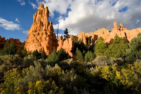 simsearch:862-03808755,k - Scenic view of Dixie National Forest at Sunset Stock Photo - Budget Royalty-Free & Subscription, Code: 400-03976468