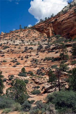 simsearch:400-03976569,k - Scenic views of Zion National Park, USA Fotografie stock - Microstock e Abbonamento, Codice: 400-03976461