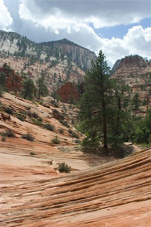 simsearch:400-03976569,k - Scenic views of Zion National Park, USA Fotografie stock - Microstock e Abbonamento, Codice: 400-03976462