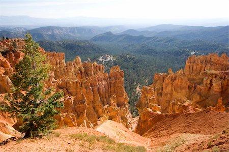 simsearch:400-03947799,k - Scenic view of Bryce Canyon National Park, Utah Foto de stock - Royalty-Free Super Valor e Assinatura, Número: 400-03976476
