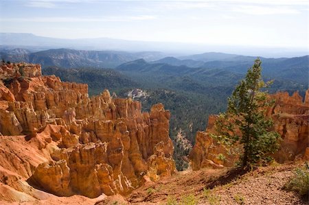 simsearch:400-03976569,k - Scenic view of Bryce Canyon National Park, Utah Fotografie stock - Microstock e Abbonamento, Codice: 400-03976477