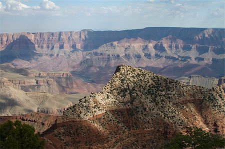 simsearch:400-03976569,k - Views of The Grand Canyon, North Rim Fotografie stock - Microstock e Abbonamento, Codice: 400-03976519
