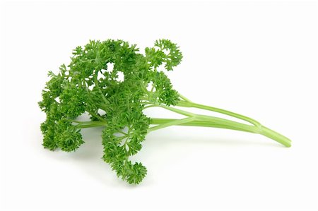 simsearch:400-05919877,k - Fresh parsley in isolated white background Stock Photo - Budget Royalty-Free & Subscription, Code: 400-03977411