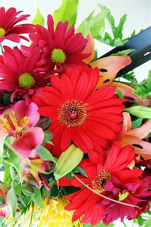 simsearch:400-04941060,k - Bunch of flowers with a ladybug decoration in the center. Fotografie stock - Microstock e Abbonamento, Codice: 400-03977774